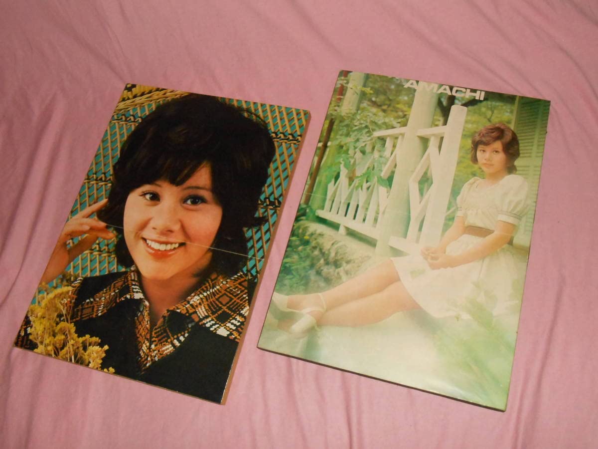 Amazon.co.jp: 古い木製パネル天地真理2枚70年代アイドル歌手